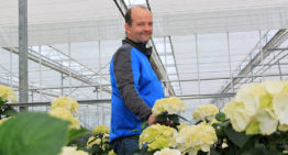 Strakke organisatie en toepassing houden Thrips setosus in toom