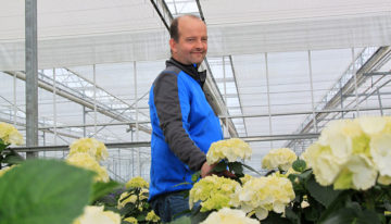 Strakke organisatie en toepassing houden Thrips setosus in toom