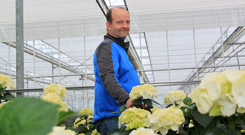 Strakke organisatie en toepassing houden Thrips setosus in toom