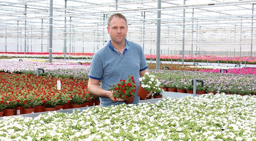 Plantenteler wil objectief water geven in plaats van op gevoel