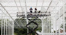 Ter Laak Orchids kiest hybride groeilichtinstallatie voor nieuwbouw