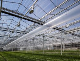 Van Uffelen Flowers enthousiast over Het Nieuwe Telen