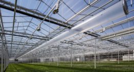 Van Uffelen Flowers enthousiast over Het Nieuwe Telen