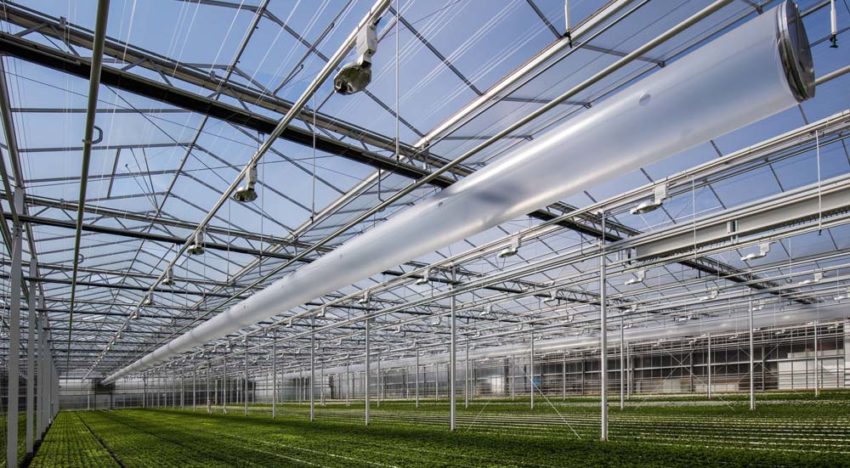 Van Uffelen Flowers enthousiast over Het Nieuwe Telen