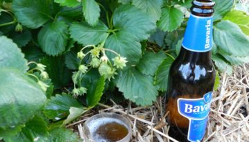 Bier en mosterdzaad toegevoegd aan Europese lijst basisstoffen voor gewasbescherming