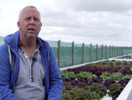 Proeftuin geopend voor kweek van krab en sla in Wieringermeer