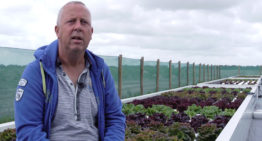 Proeftuin geopend voor kweek van krab en sla in Wieringermeer