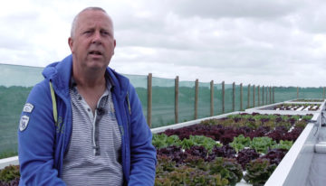 Proeftuin geopend voor kweek van krab en sla in Wieringermeer