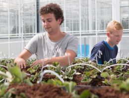 ‘Voorkomen uitstraling moet helpen bij zoektocht naar plantbalans’
