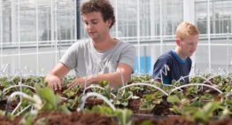 ‘Voorkomen uitstraling moet helpen bij zoektocht naar plantbalans’
