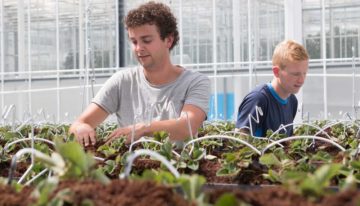 ‘Voorkomen uitstraling moet helpen bij zoektocht naar plantbalans’