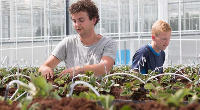 ‘Voorkomen uitstraling moet helpen bij zoektocht naar plantbalans’
