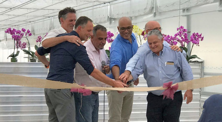 Internationale Phalaenopsis meeting in Guatemala bij opening Ter Laak AmericaS