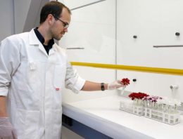 ‘Meest interessante zijn de inzichten in ziekteresistentie’
