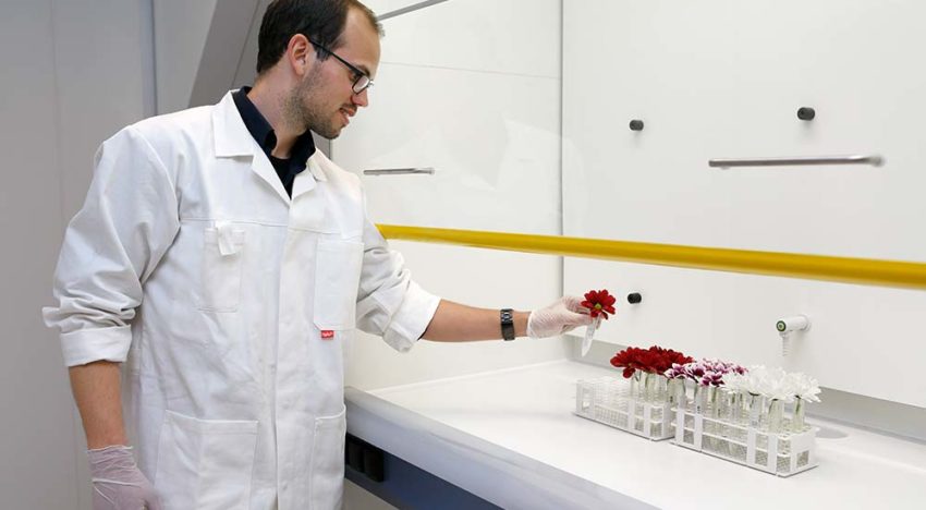 ‘Meest interessante zijn de inzichten in ziekteresistentie’