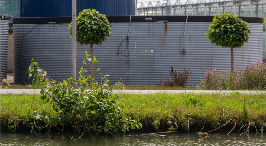 Zuiveringsplicht glastuinbouw komt snel dichterbij
