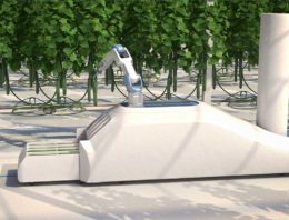 Crux Agribotics ontwikkelt lerende komkommeroogstrobot