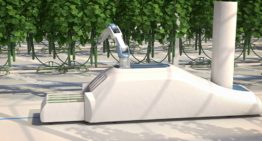 Crux Agribotics ontwikkelt lerende komkommeroogstrobot