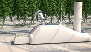 Crux Agribotics ontwikkelt lerende komkommeroogstrobot