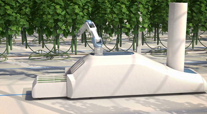 Crux Agribotics ontwikkelt lerende komkommeroogstrobot