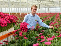 Opmars rupsen in de kiem gesmoord