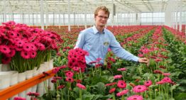 Opmars rupsen in de kiem gesmoord