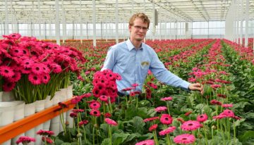 Opmars rupsen in de kiem gesmoord