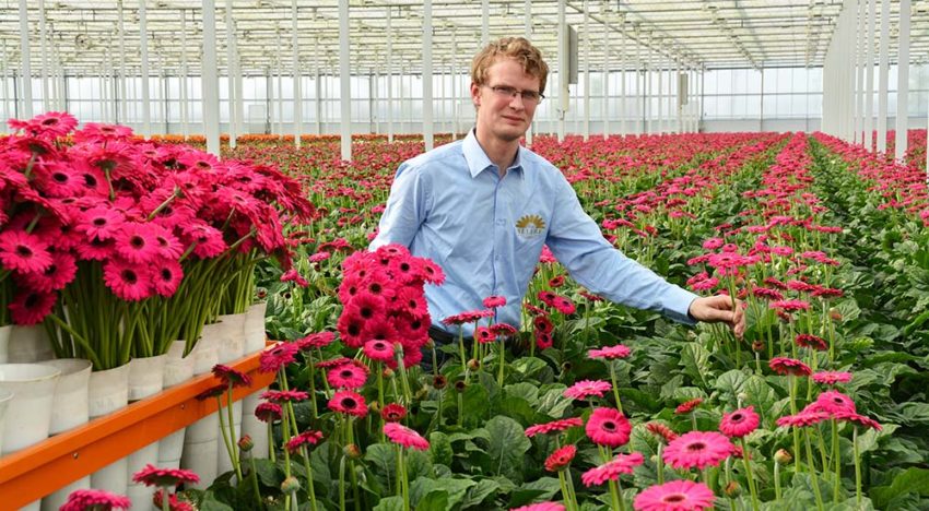 Opmars rupsen in de kiem gesmoord Opmars rupsen in de kiem gesmoord