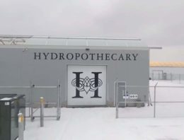 Nederlandse kassen voor cannabisteelt in Canada en Verenigde Staten