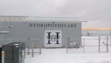 Nederlandse kassen voor cannabisteelt in Canada en Verenigde Staten