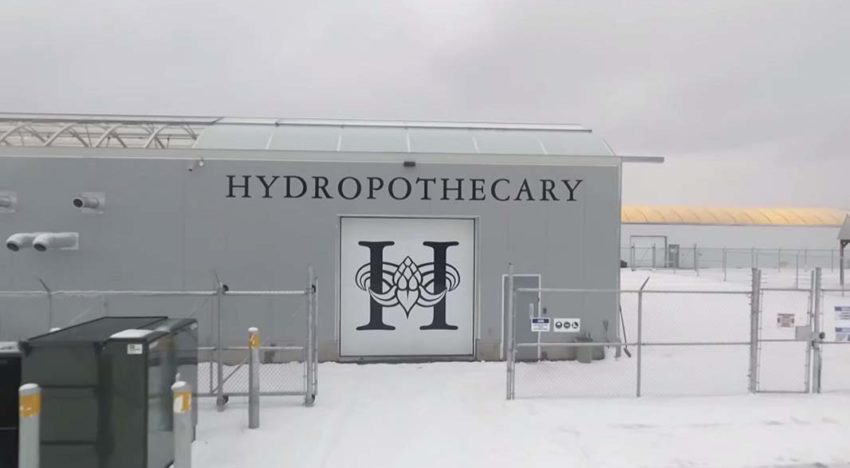 Nederlandse kassen voor cannabisteelt in Canada en Verenigde Staten