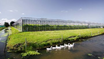 LTO Glaskracht lanceert ‘circulaire glastuinbouw’ als toekomstvisie