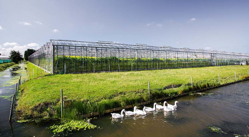 LTO Glaskracht lanceert ‘circulaire glastuinbouw’ als toekomstvisie