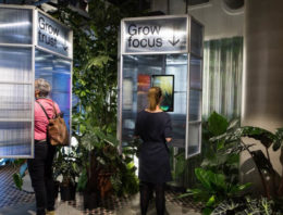 Let it Grow maakt stedelingen gelukkiger met planten en bloemen