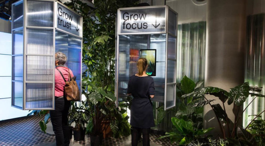 Let it Grow maakt stedelingen gelukkiger met planten en bloemen