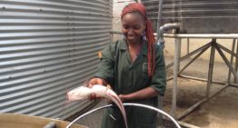 Florensis beloond voor MVO-beleid in Kenia