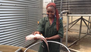 Florensis beloond voor MVO-beleid in Kenia