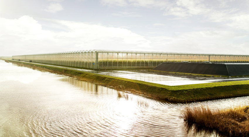 Vanaf 1 oktober restwater met imidacloprid zuiveren via MPS-certificatieschema