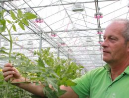Nieuwe LED-lamp scoort hoog in hybride belichtingsproef