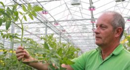 Nieuwe LED-lamp scoort hoog in hybride belichtingsproef