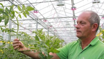Nieuwe LED-lamp scoort hoog in hybride belichtingsproef