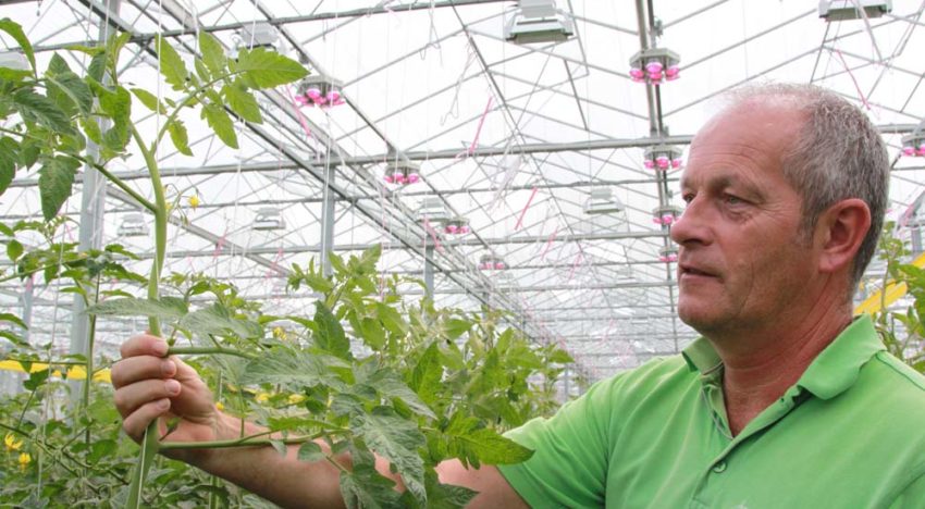 Nieuwe LED-lamp scoort hoog in hybride belichtingsproef