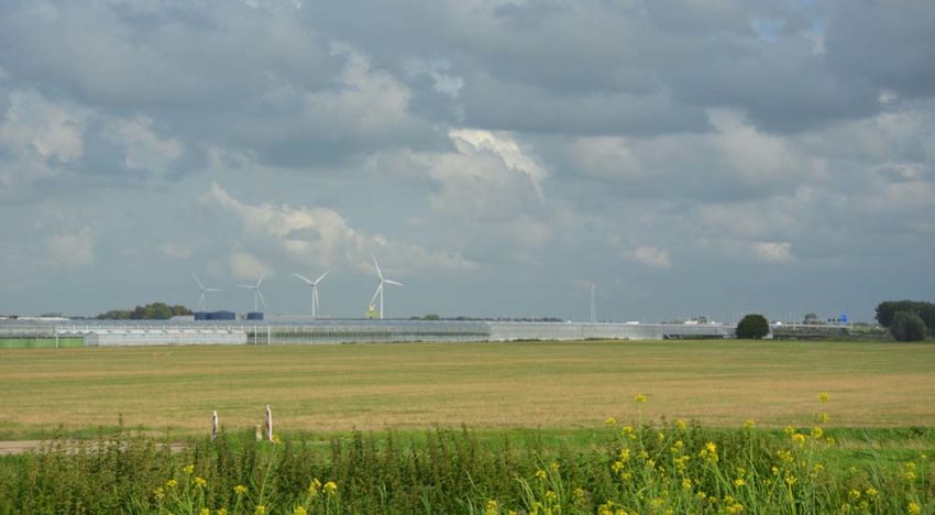 ‘Aansluiting warmteleiding draagt bij aan toekomst Zuidplaspolder’ ‘Aansluiting warmteleiding draagt bij aan toekomst Zuidplaspolder’