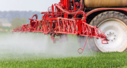 Duitse onderzoekers lijken biologisch alternatief glyfosaat op het spoor
