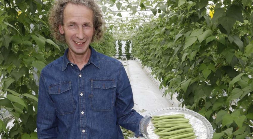 ‘Bij deze bonen moet je oog hebben voor de rijpheid’