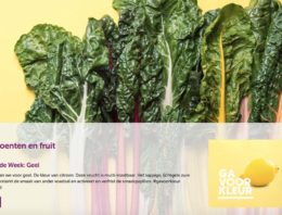 Veggipedia na make-over uniek product voor sector en consument