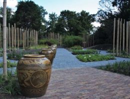 Speciaal herfstvakantieprogramma voor kinderen in Hortus Botanicus Leiden