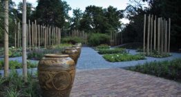 Speciaal herfstvakantieprogramma voor kinderen in Hortus Botanicus Leiden