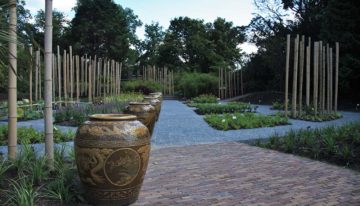Speciaal herfstvakantieprogramma voor kinderen in Hortus Botanicus Leiden