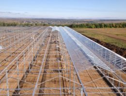Veel meer kassen, maar minder tuinbouwproducten naar Rusland